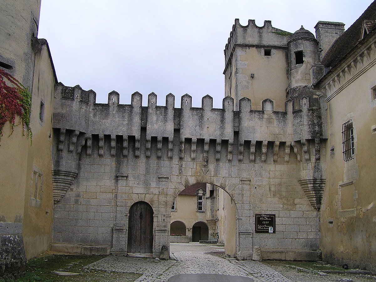 Château de l'Oisellerie