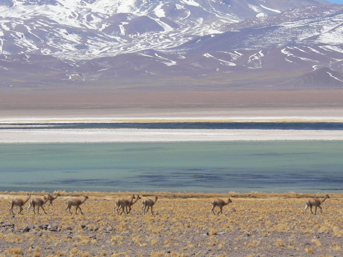 Parc national Nevado de Tres Cruces