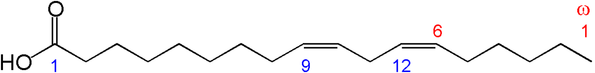 Acide linoléique