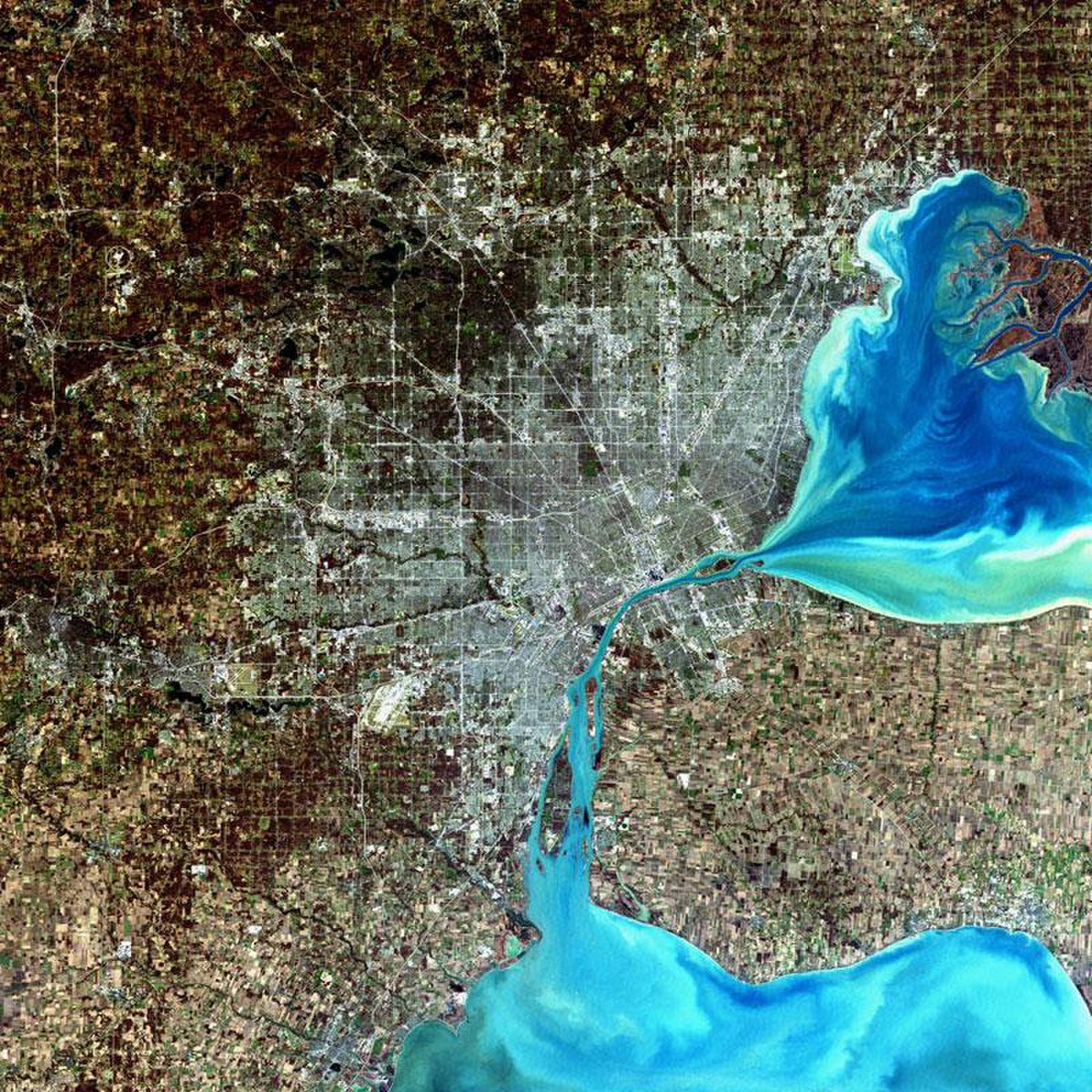Image satellite de Détroit