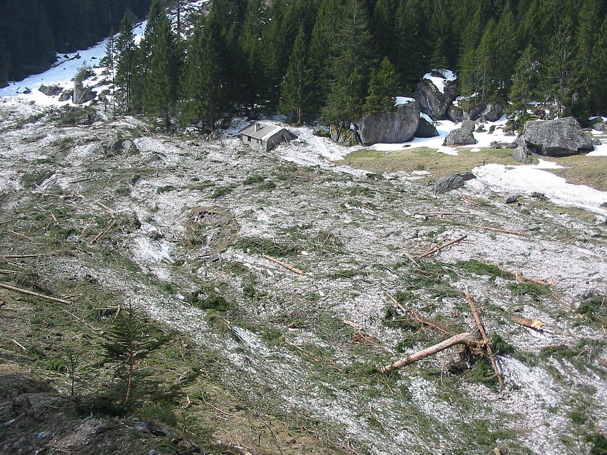 photo d'une vallée aprés une avalanche, la coulée de neige est rendue verte par les branches de sapins arrachées, une maison est à moitié ensevelie sous la neige