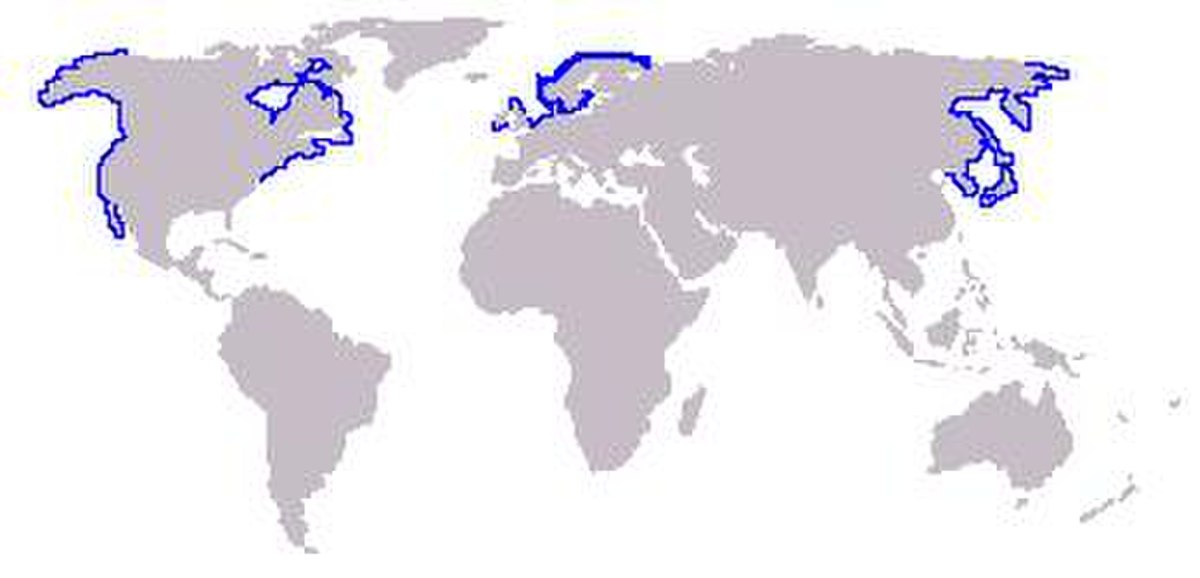 Leefgebied zeehond.JPG