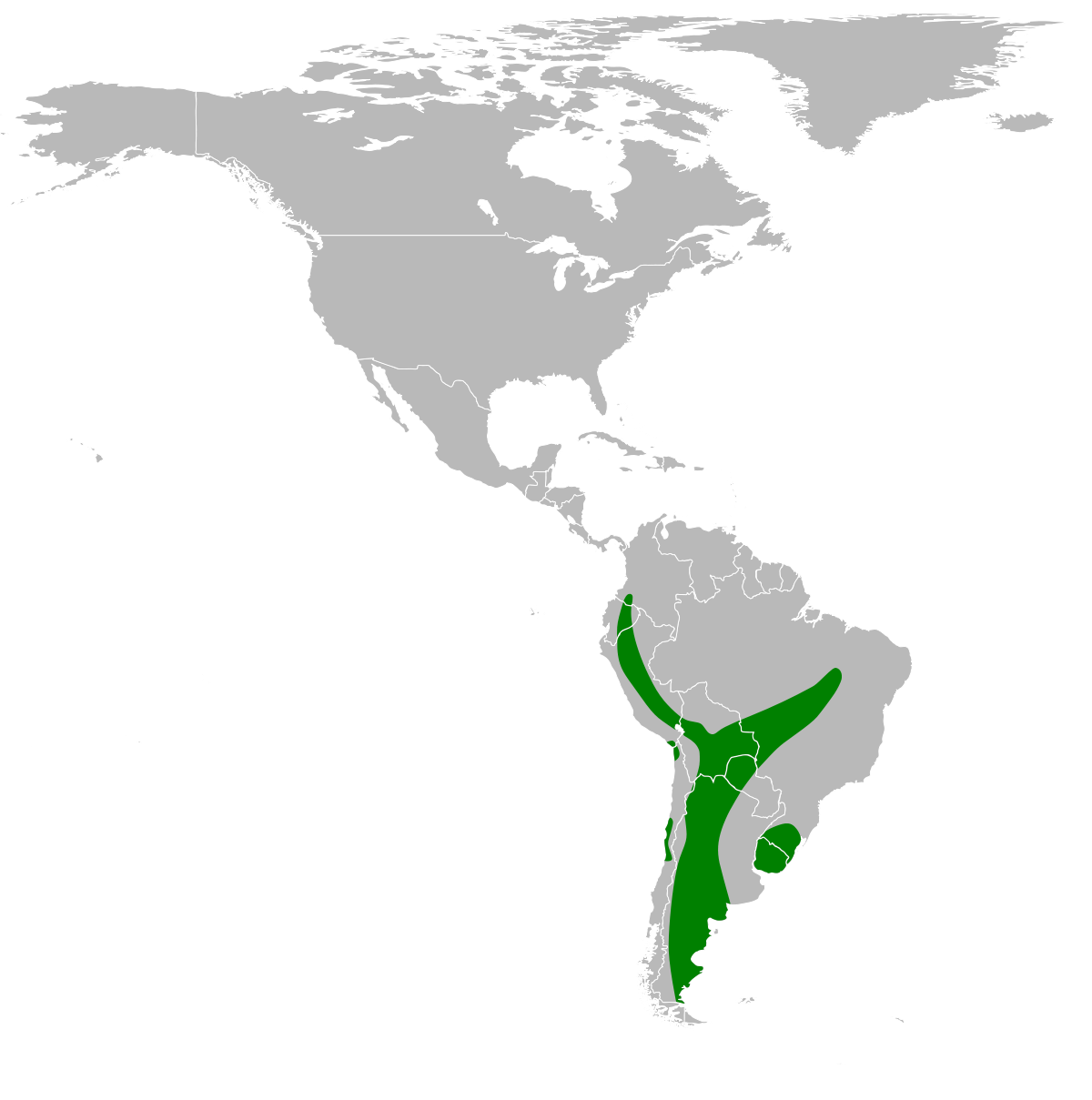 Leopardus colocolo map.svg