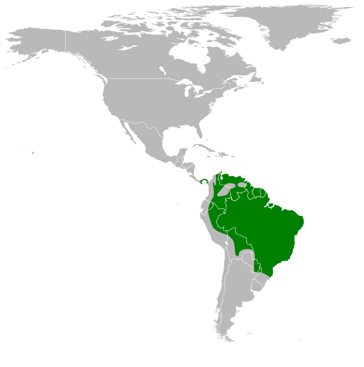Répartition approximative de l'Oncille
