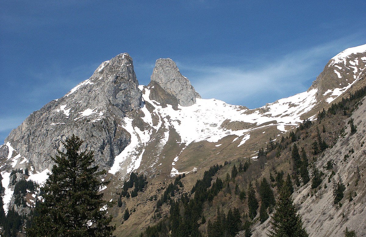 Les Jumelles