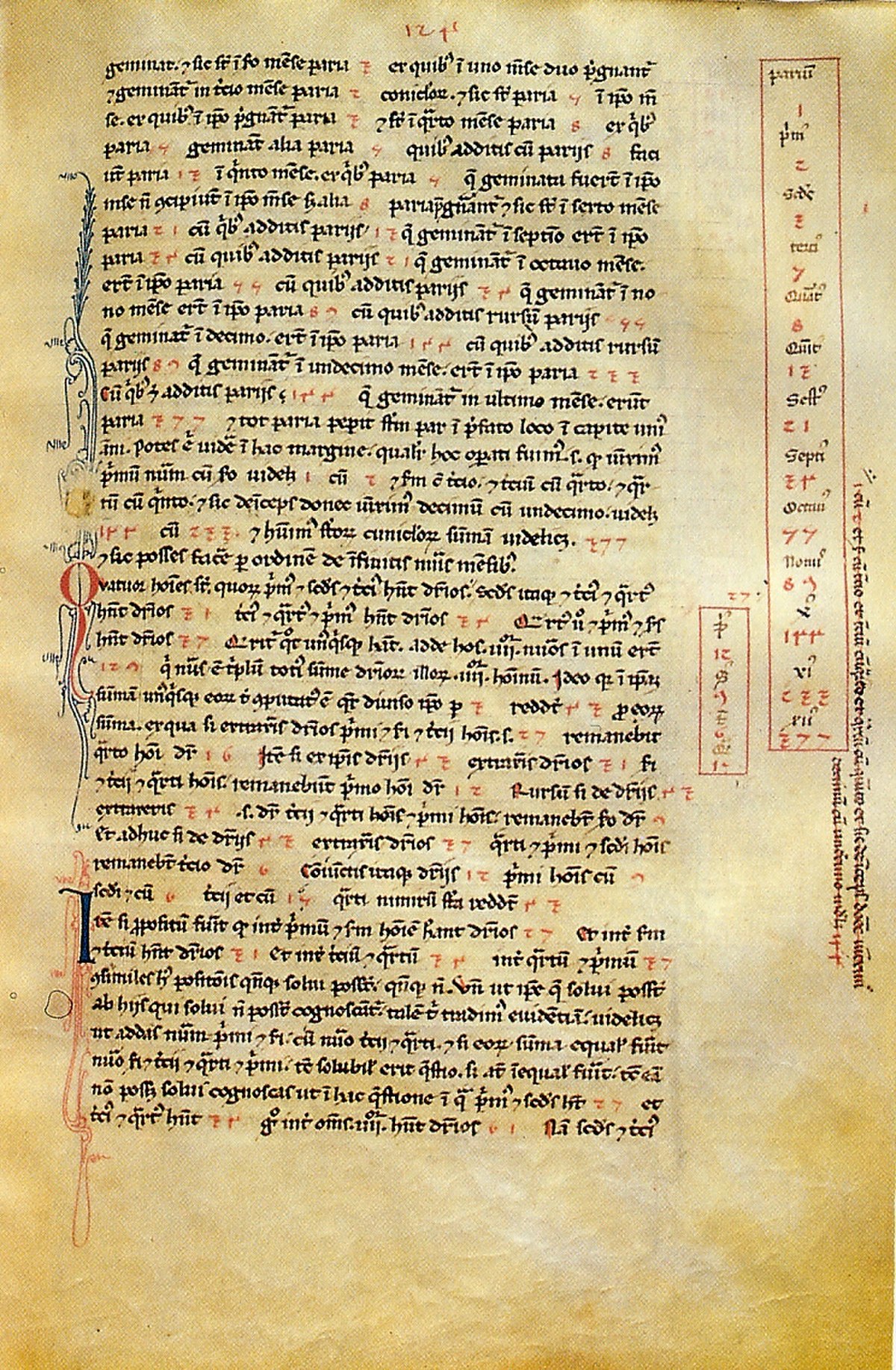 Liber abbaci, MS Biblioteca Nazionale di Firenze, Codice Magliabechiano cs cI 2616, fol. 124r