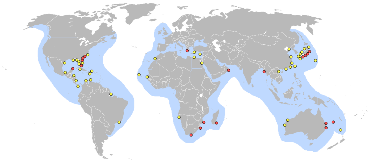Lieux pontes tortue caouanne.png