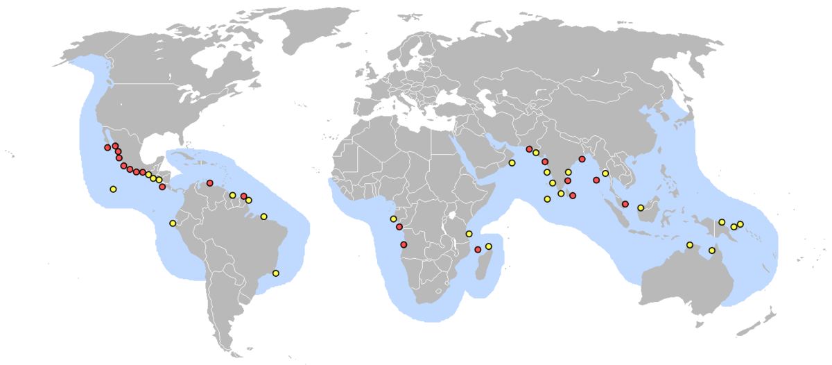 Lieux pontes tortue olivatre.png