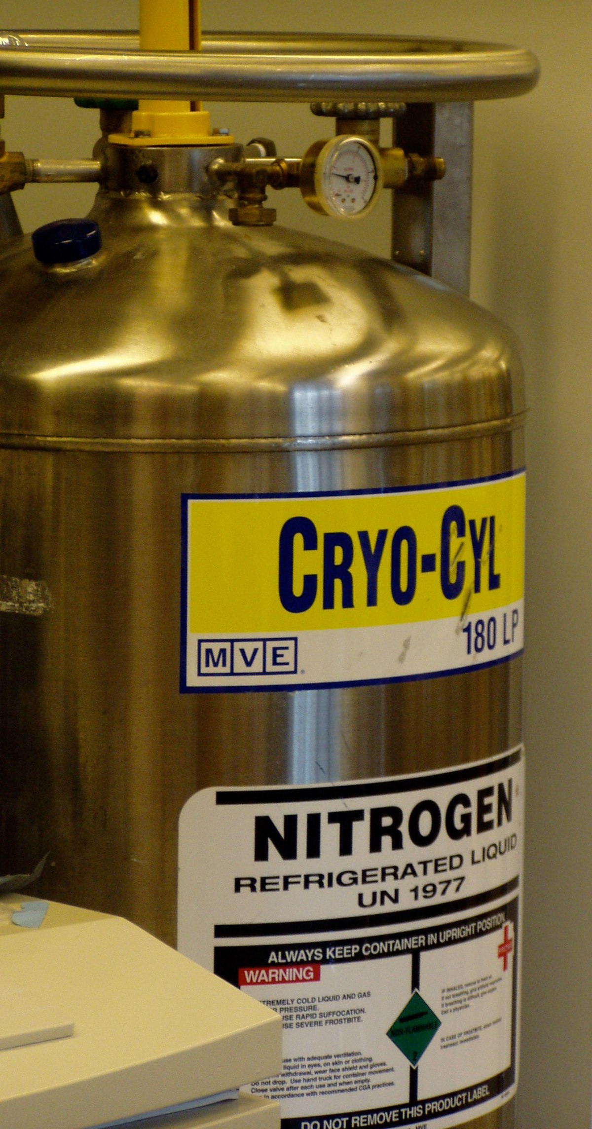 Cryogénie