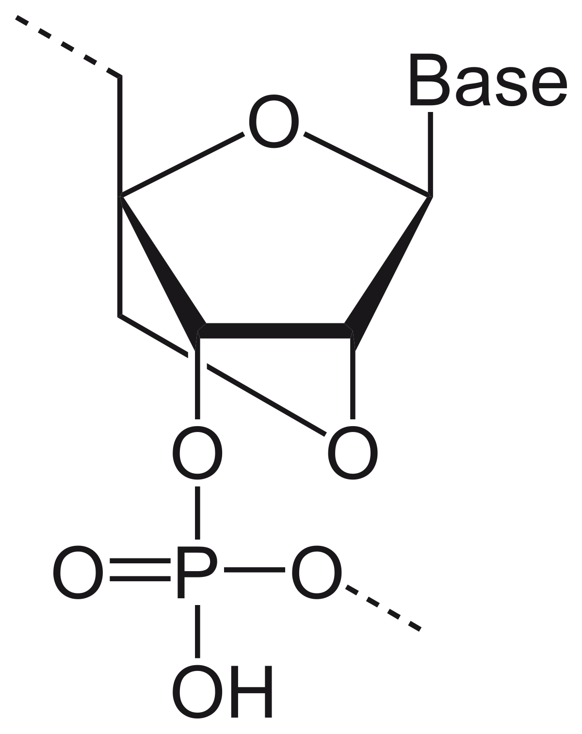 Acide nucléique bloqué