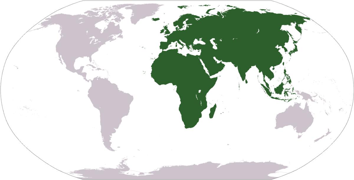 Afro-Eurasie