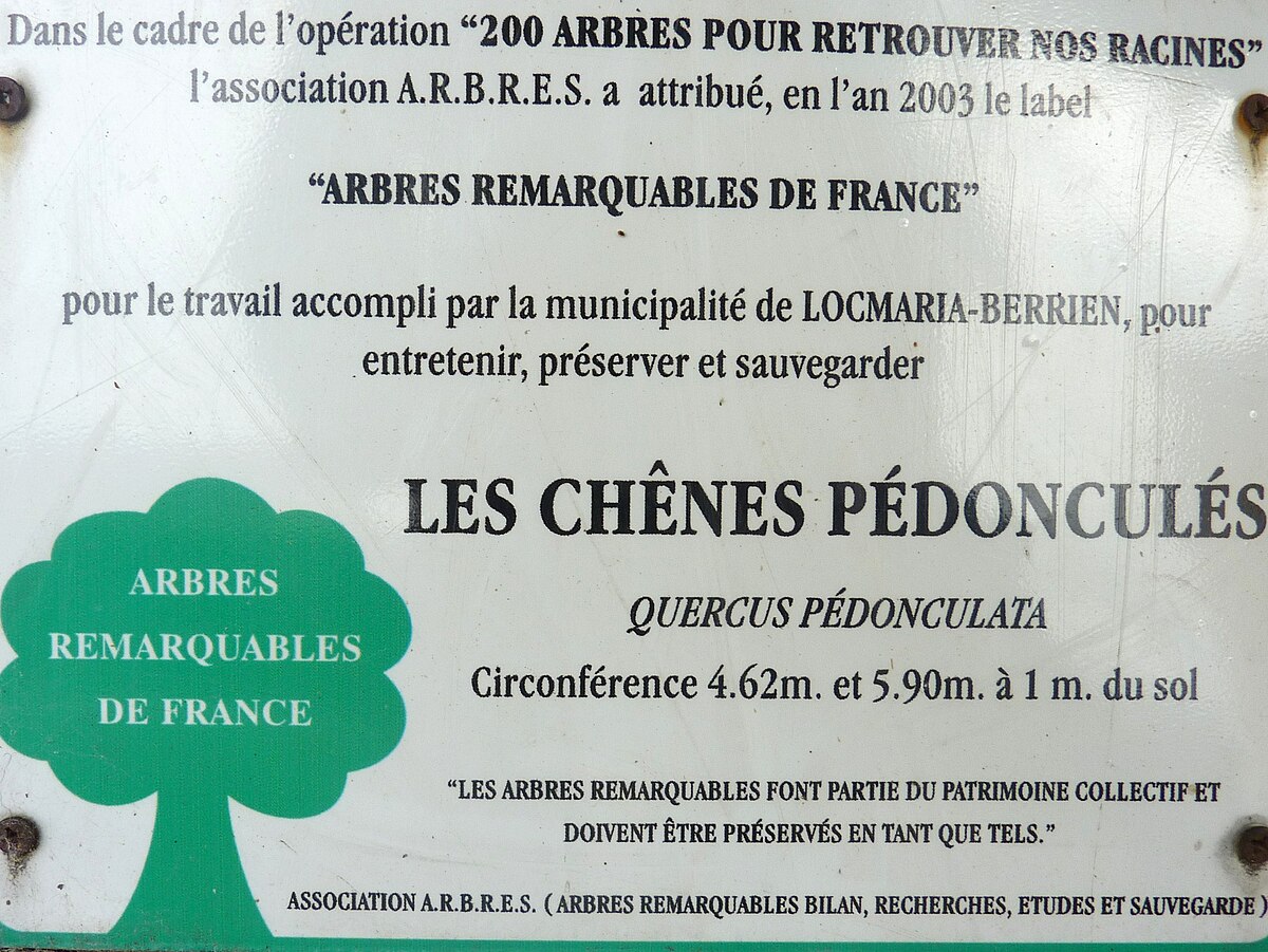 Arbres remarquables de France