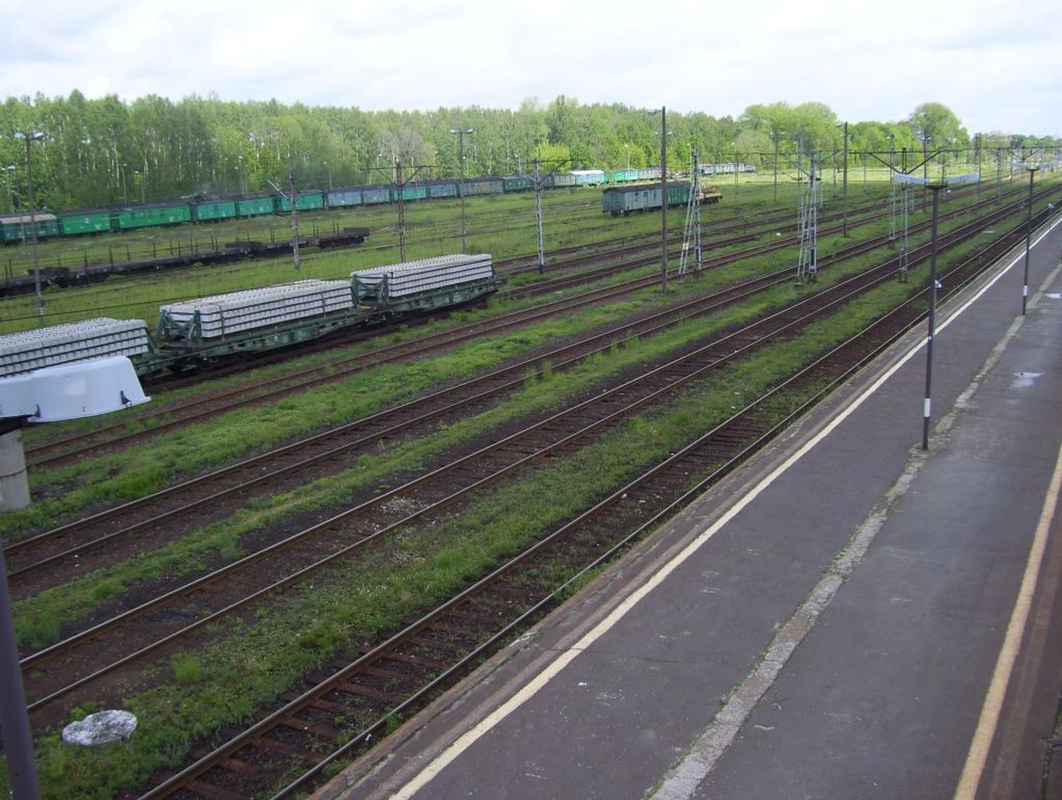 Voies, en cours de végétalisation et trottoirs