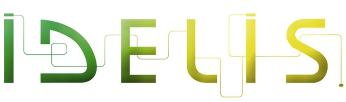 Logo réseau IDELIS Pau février 2010.png