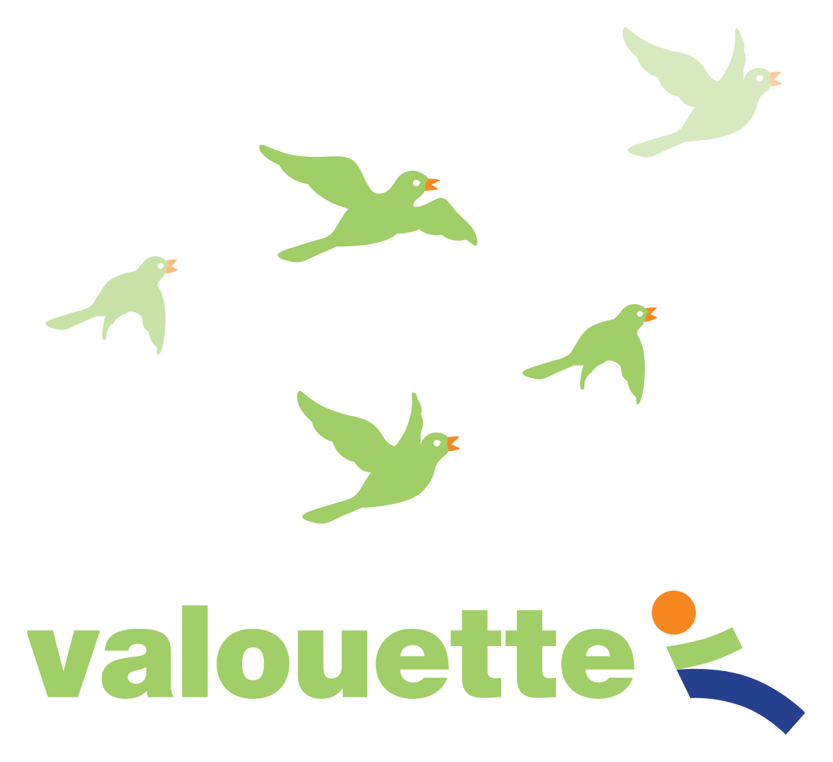 Réseau de bus Valouette