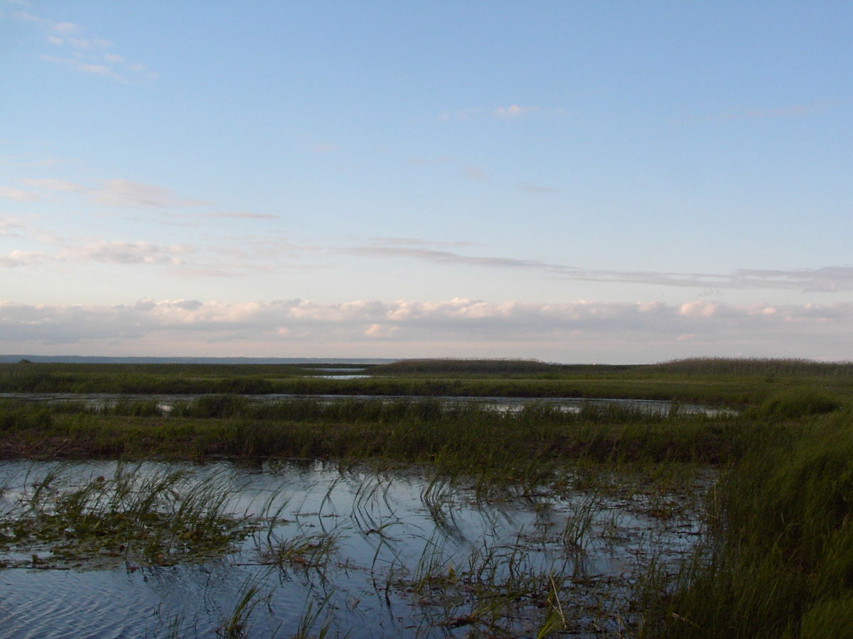 Parc provincial de Long Point