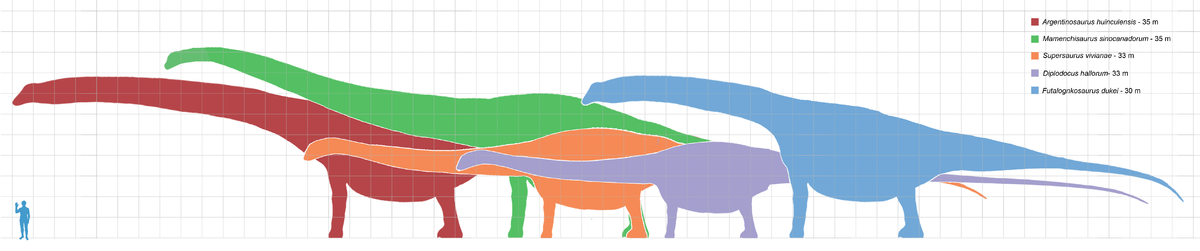 Amphicoelias