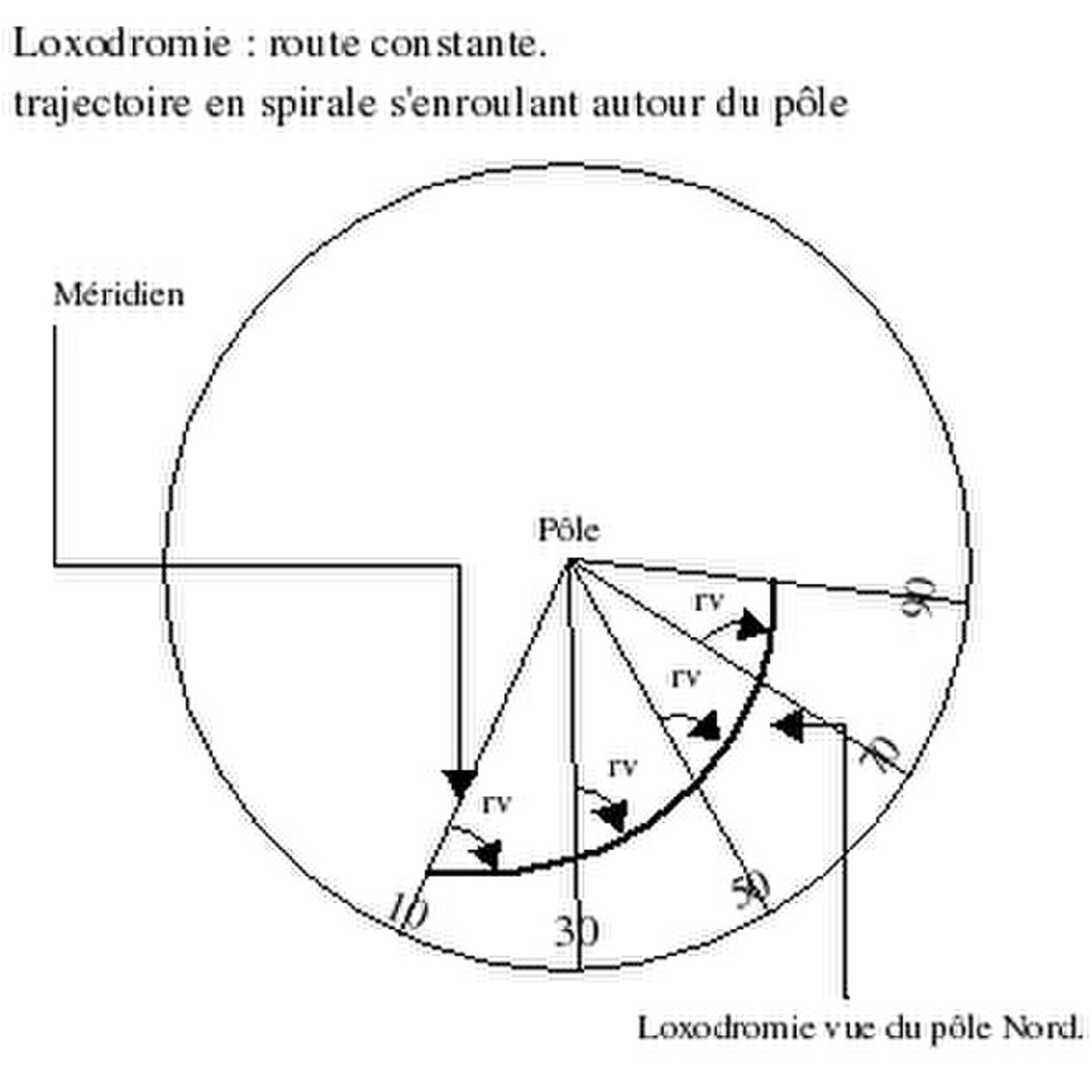 Loxo2.jpg