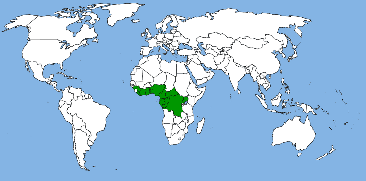 Loxodonta-cyclotis-map.png