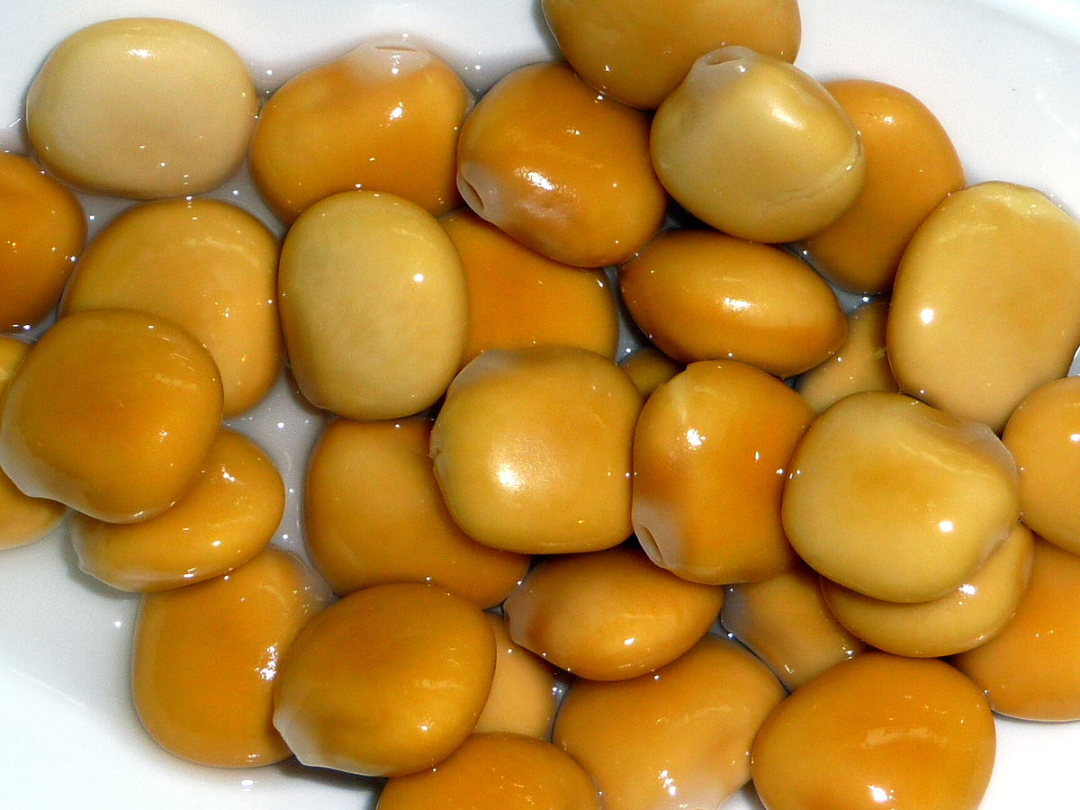 Lupin blanc
