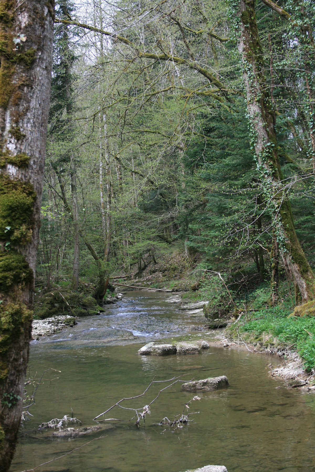 Lucelle (rivière)
