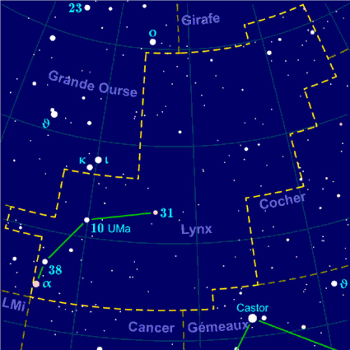 Lynx (constellation)