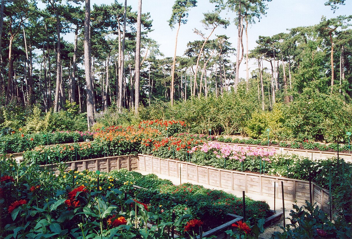 Lyon Parc tete d or 02.jpg