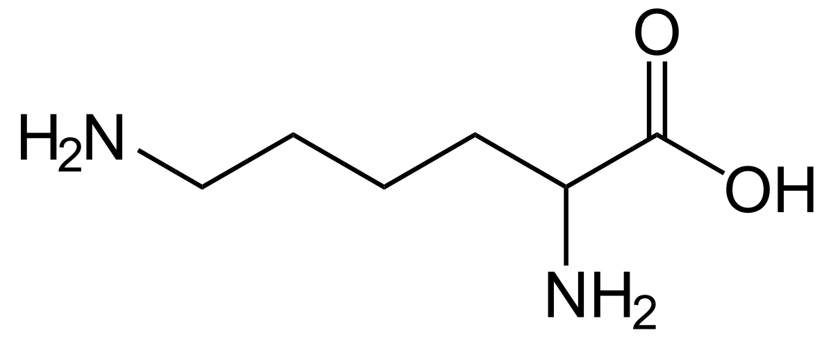 Lysin - Lysine.svg