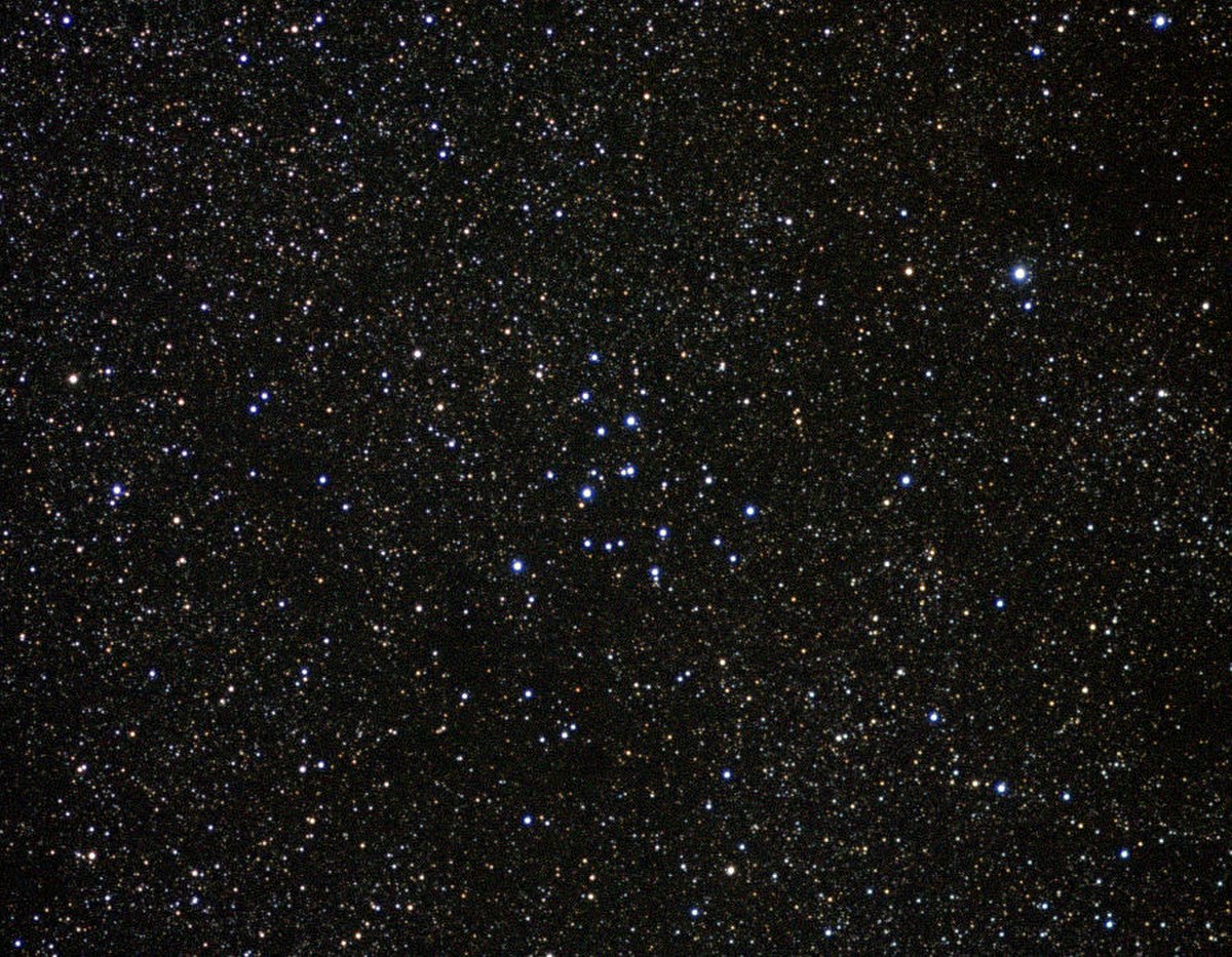 M39