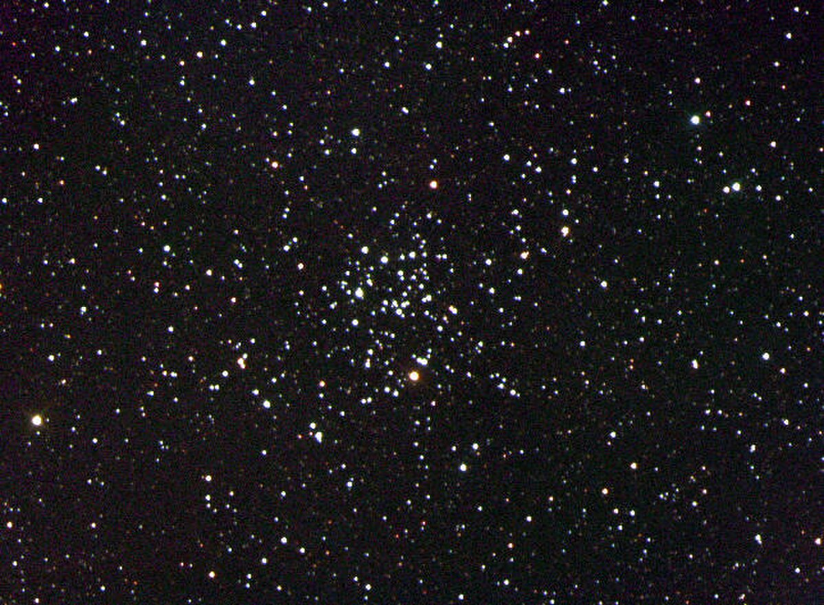 M50