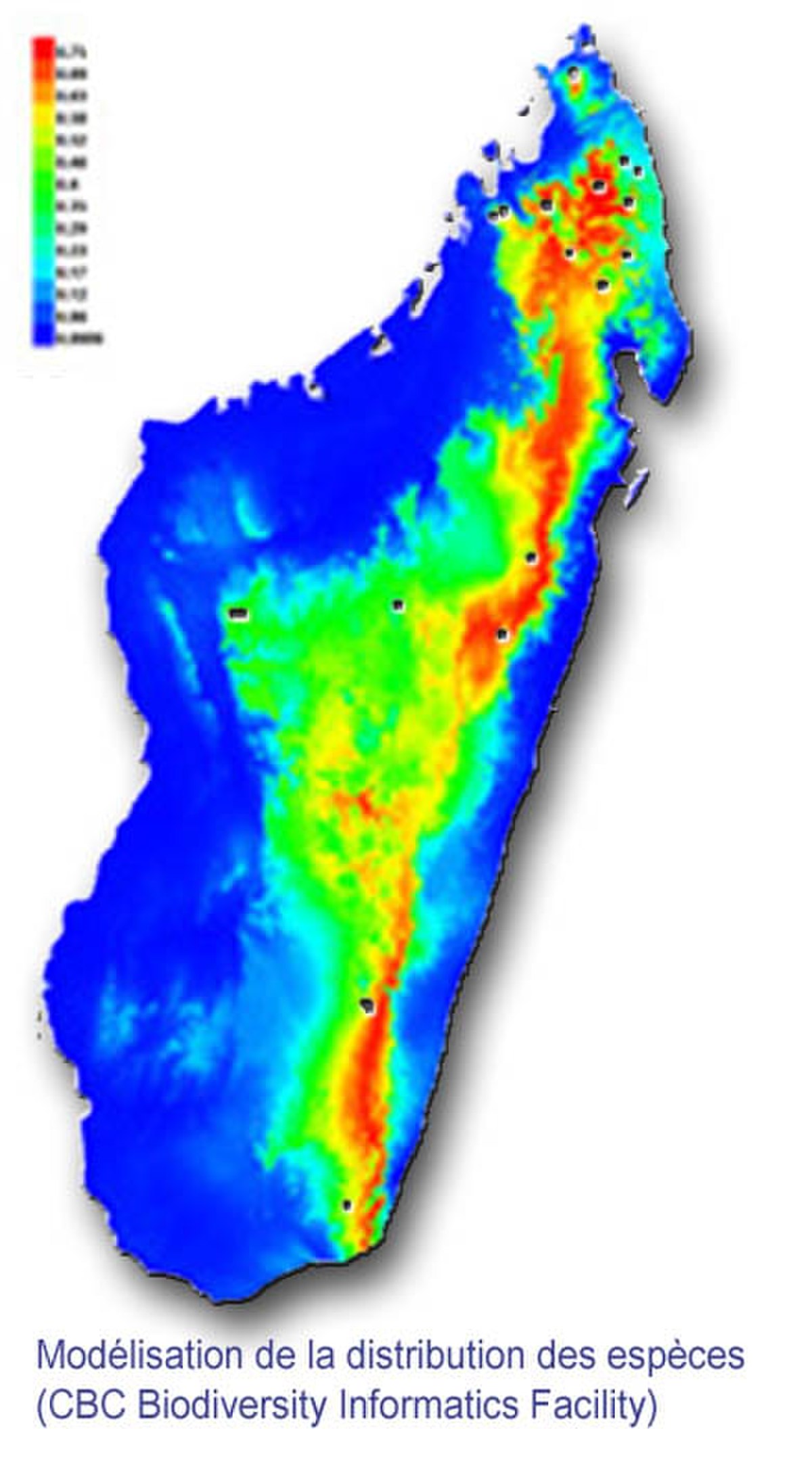 Faune de Madagascar