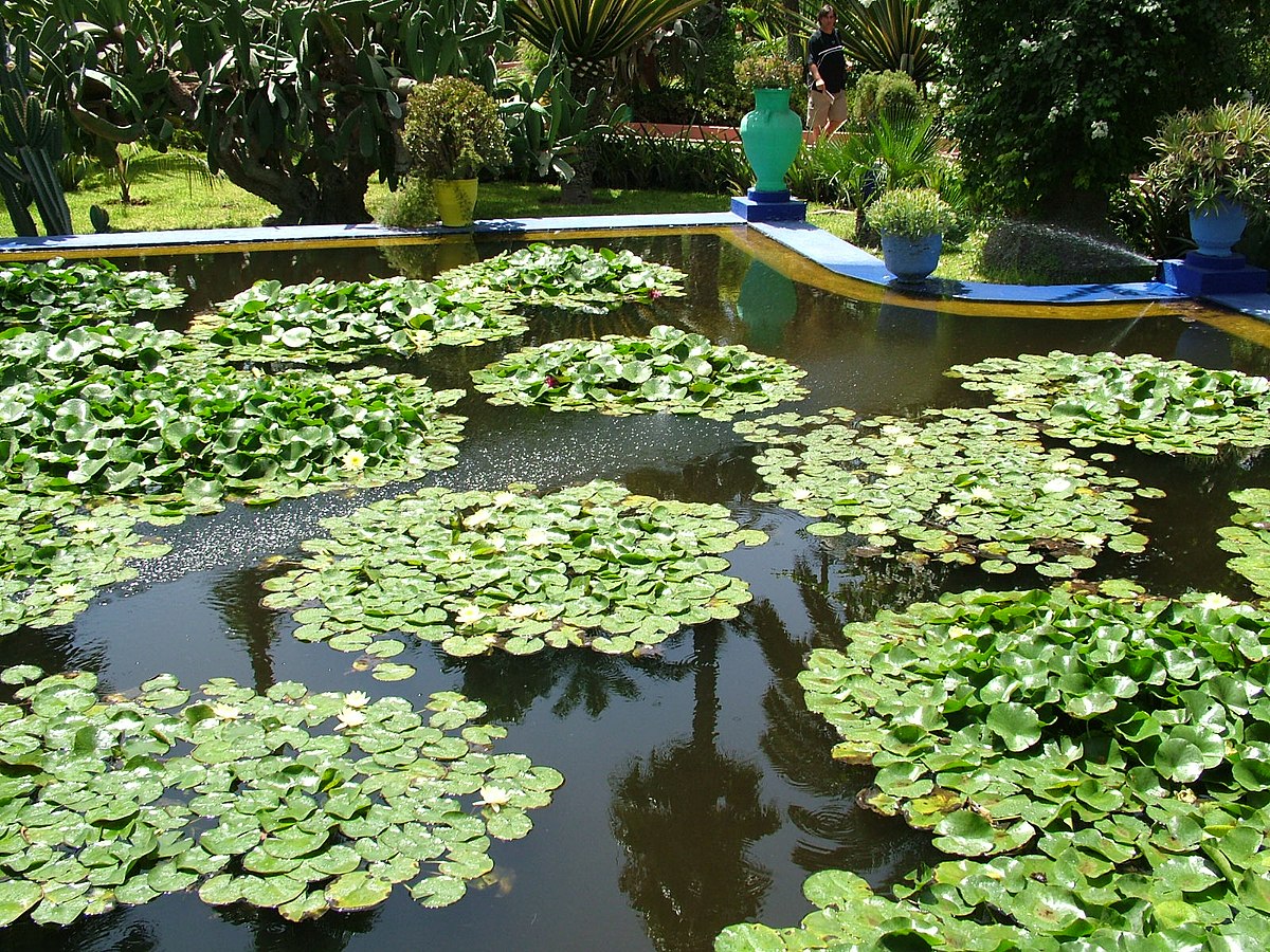 Majorelle Garden,Marrakech,Morocco.jpg