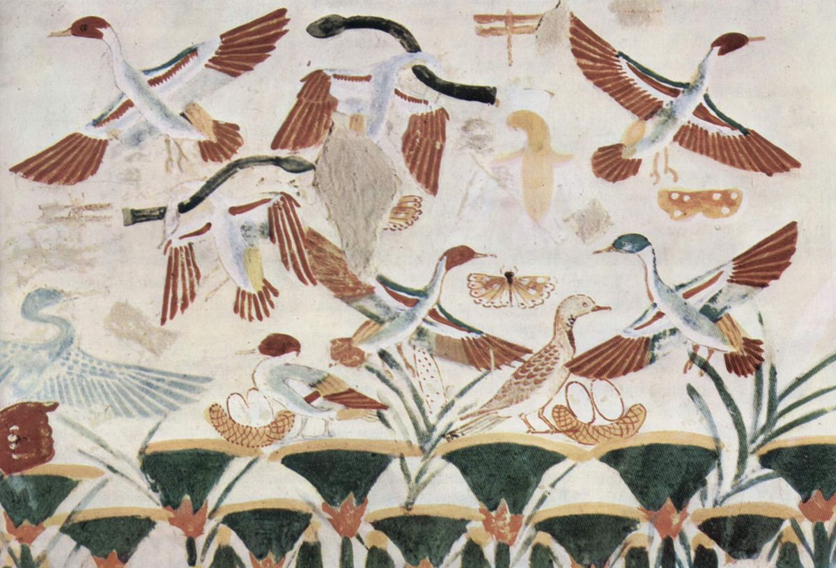 Papillons dans la peinture