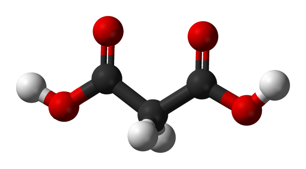 Acide malonique