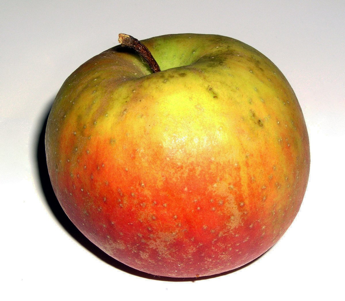 Belle de Boskoop