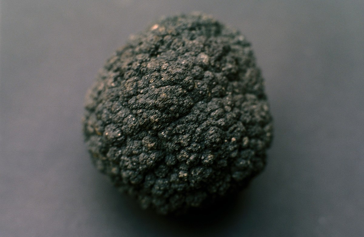 Nodule polymétallique