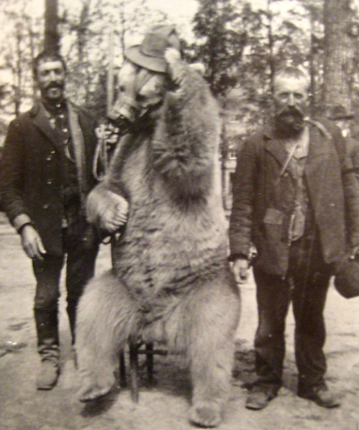 Montreur d'ours