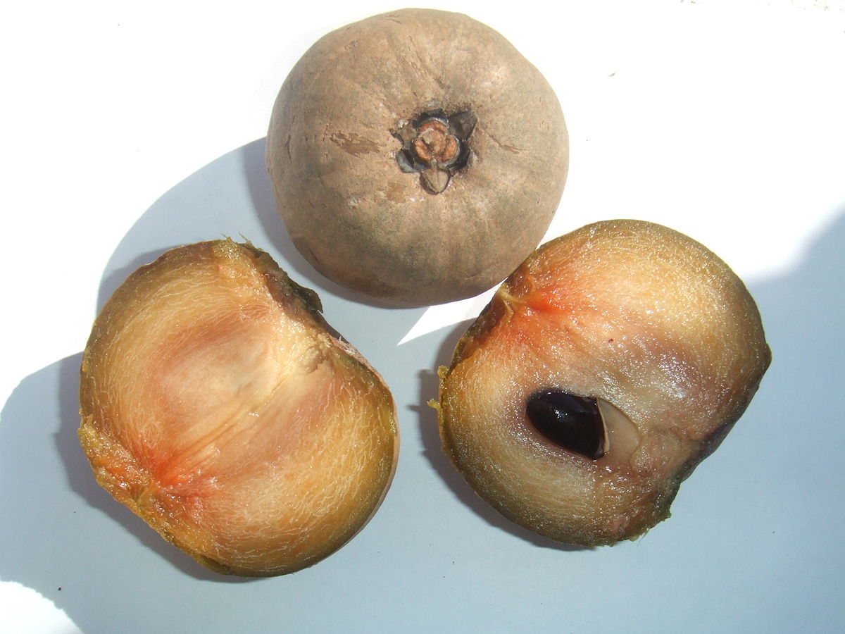 Sapotes