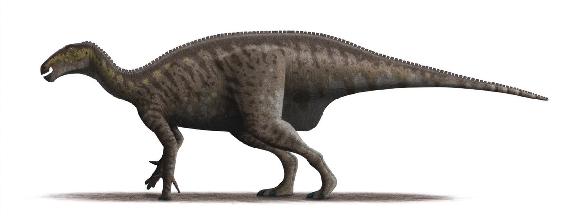 Iguanodon