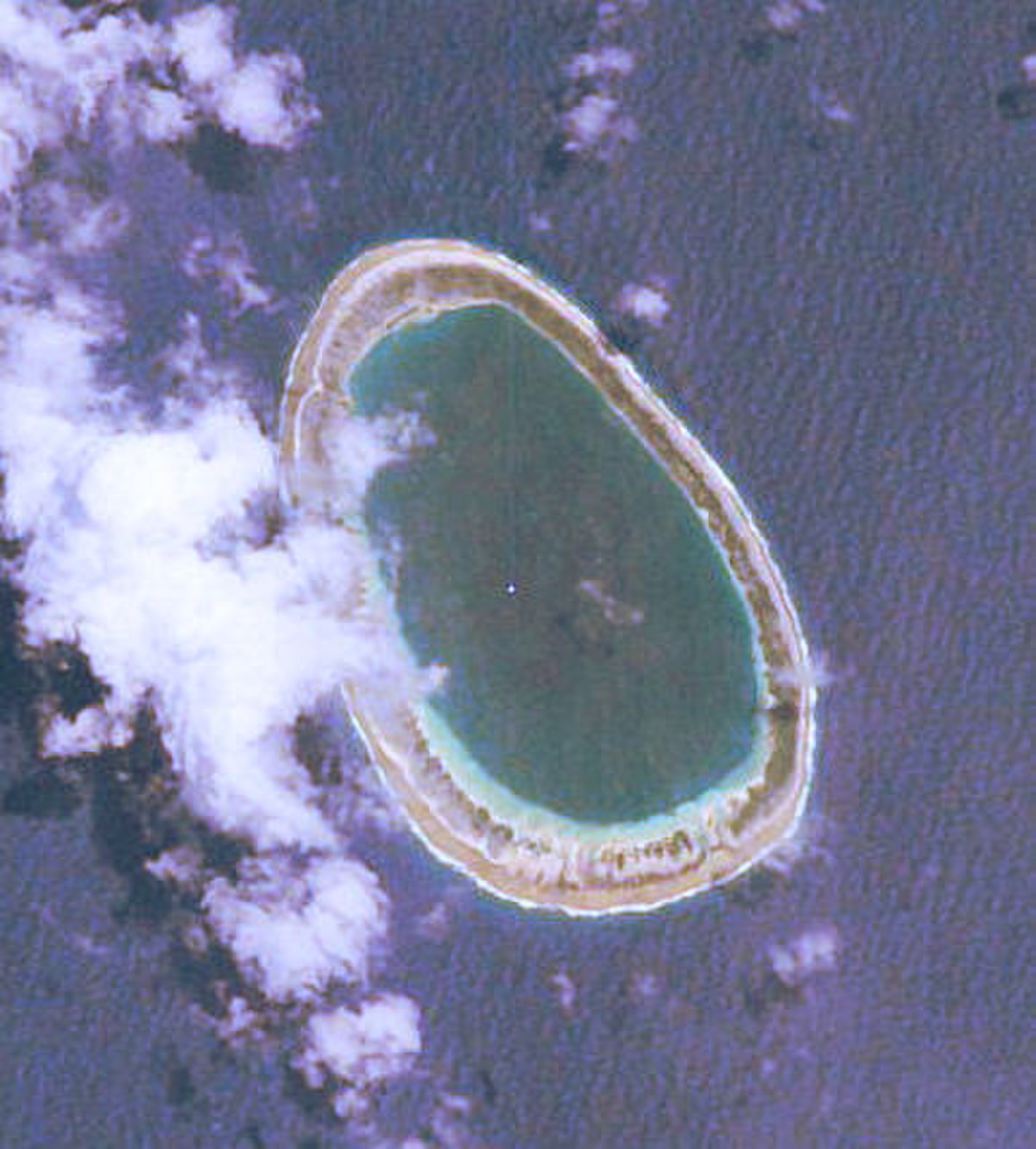 Manuhangi