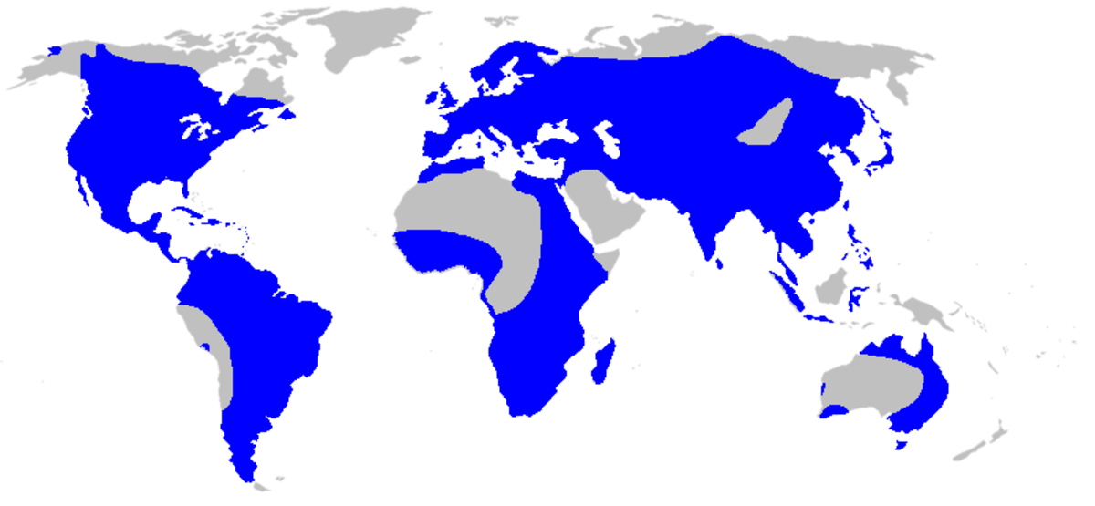 Map-Alismataceae.PNG