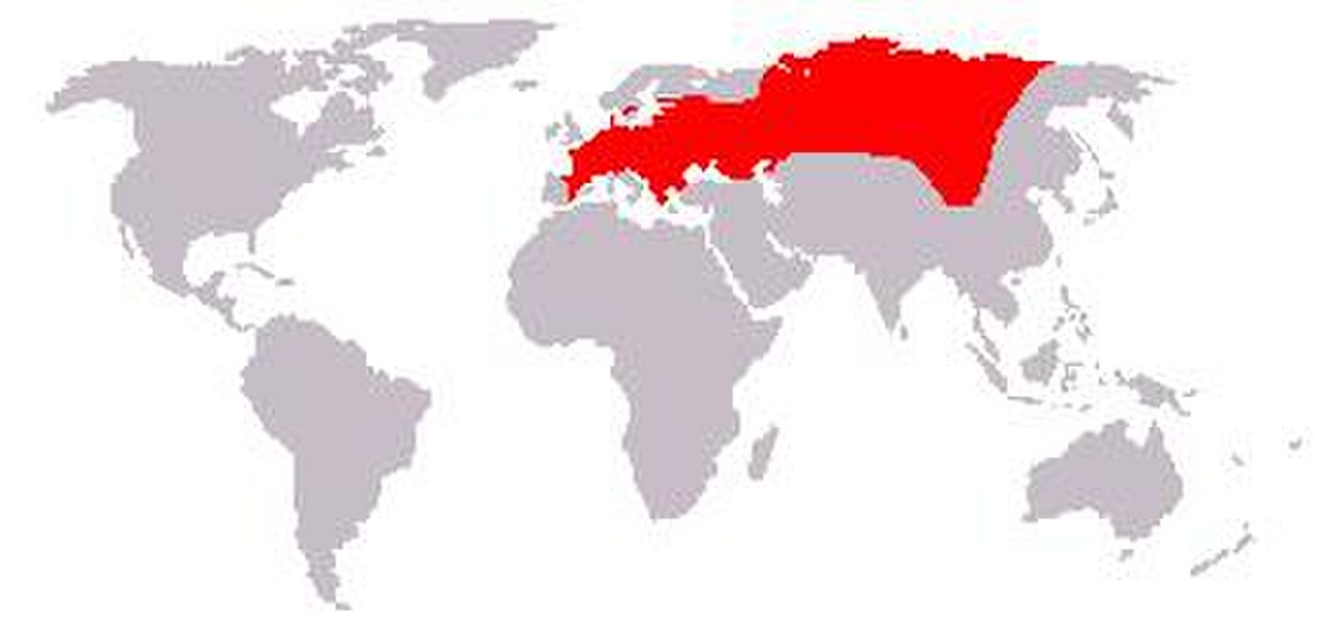 Map of range mole.jpg