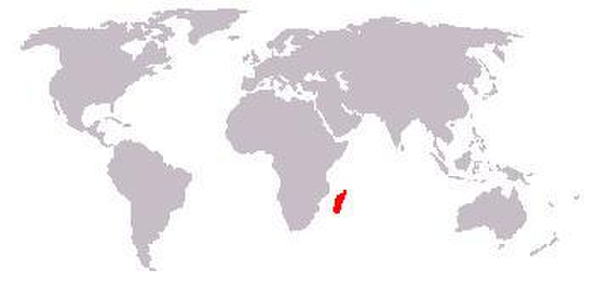 Carte de répartition de Tenrec ecaudatus