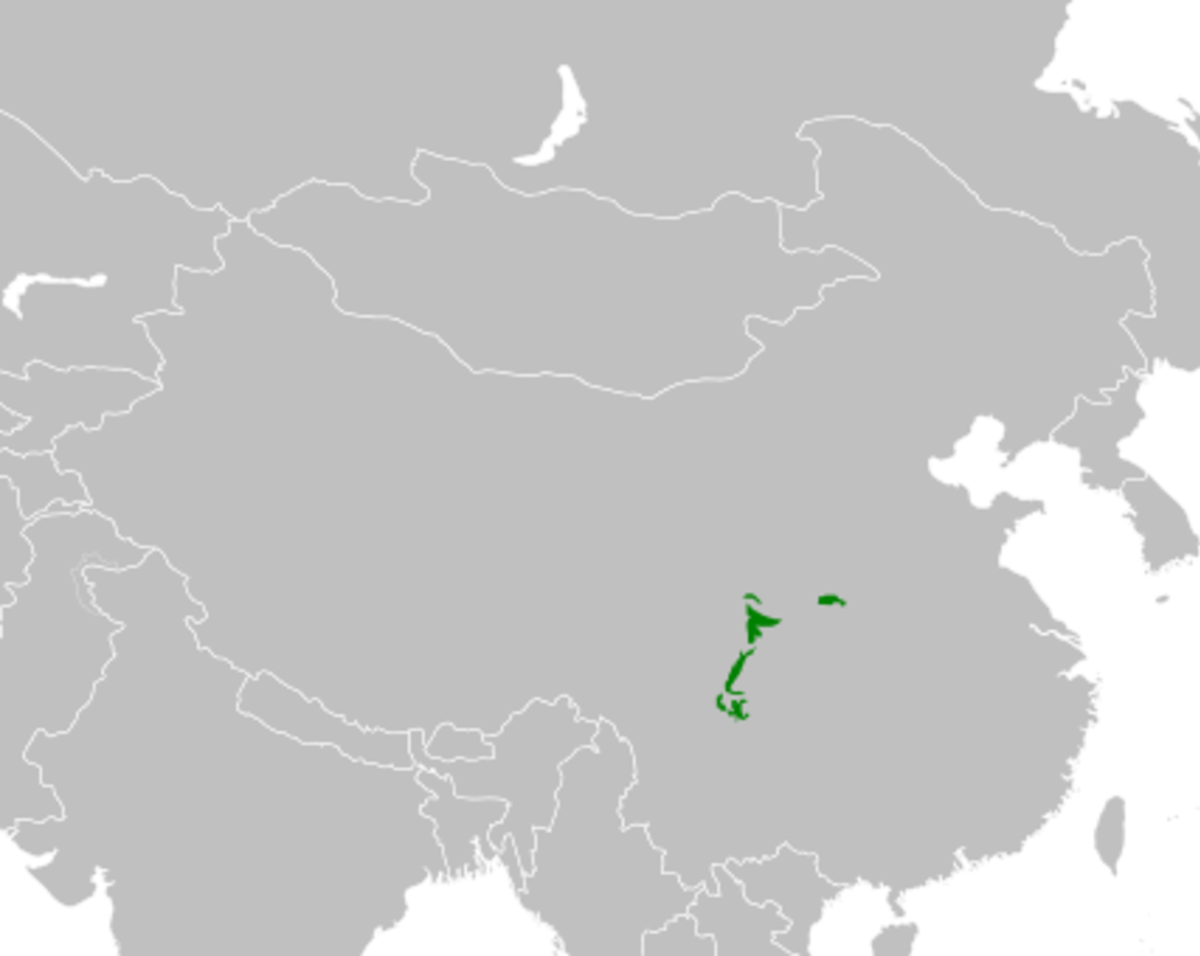 Mapa distribuicao Ailuropoda melanoleuca.png