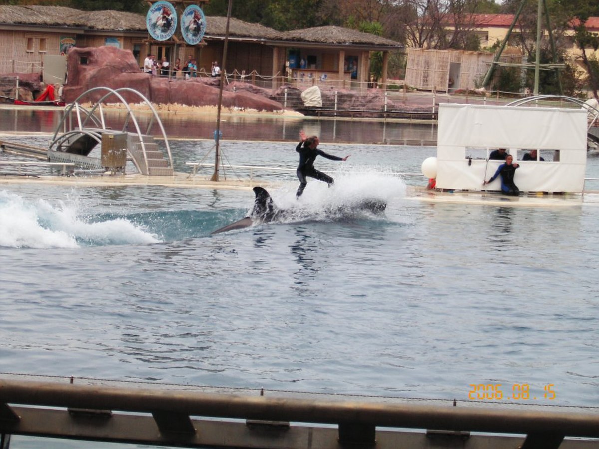 Marineland Antibes 20.jpg