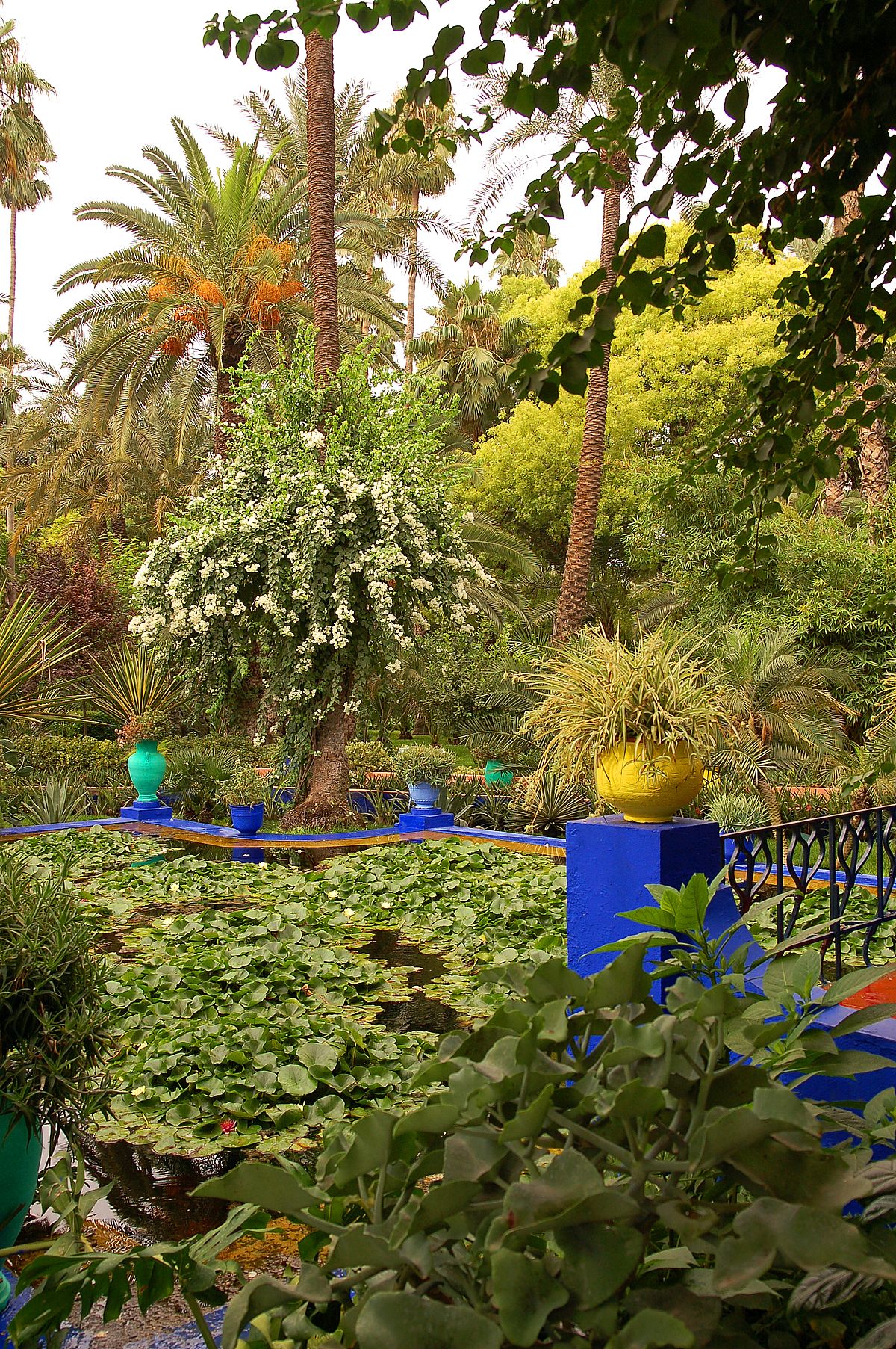 Maroc Marrakech Majorelle Luc Viatour 14.jpg