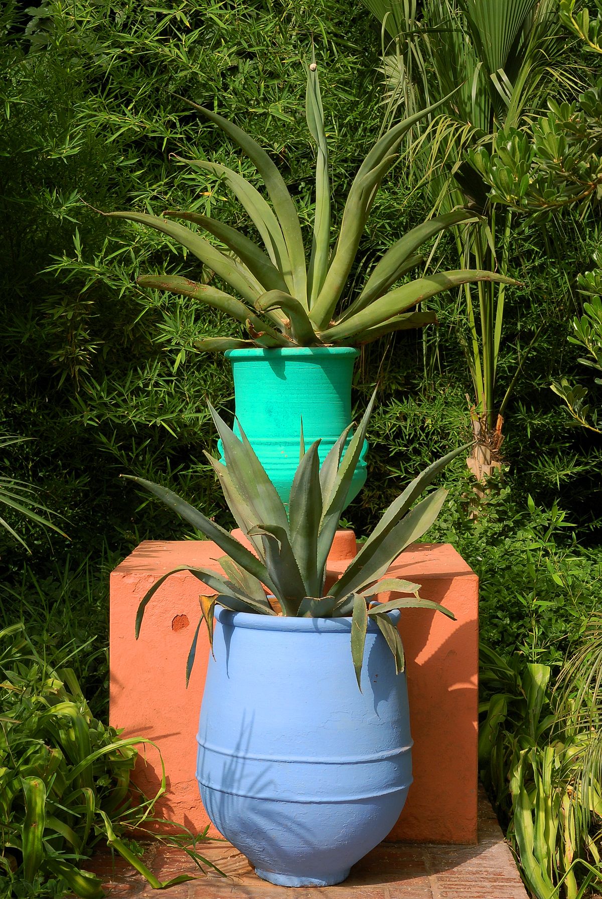 Maroc Marrakech Majorelle Luc Viatour 2.jpg