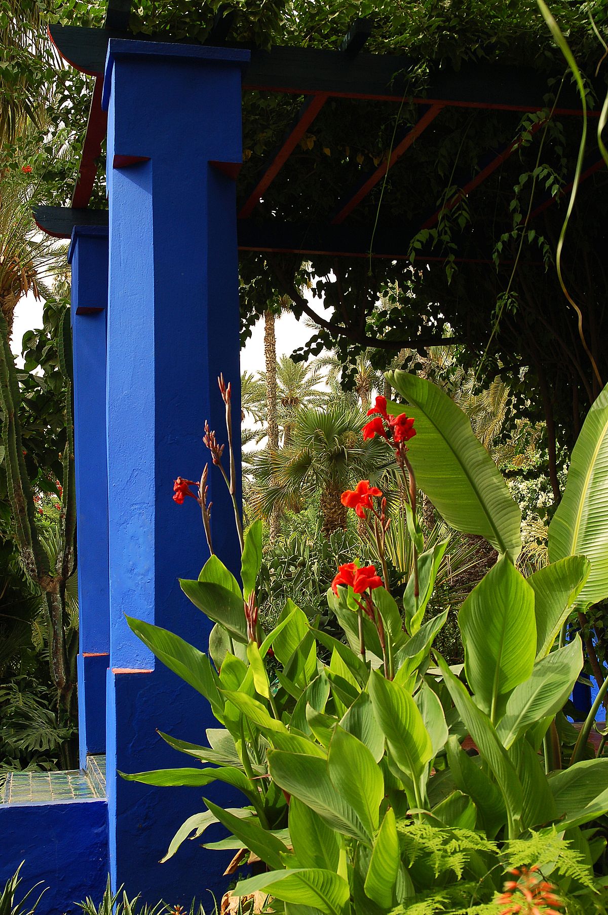 Maroc Marrakech Majorelle Luc Viatour 8.jpg