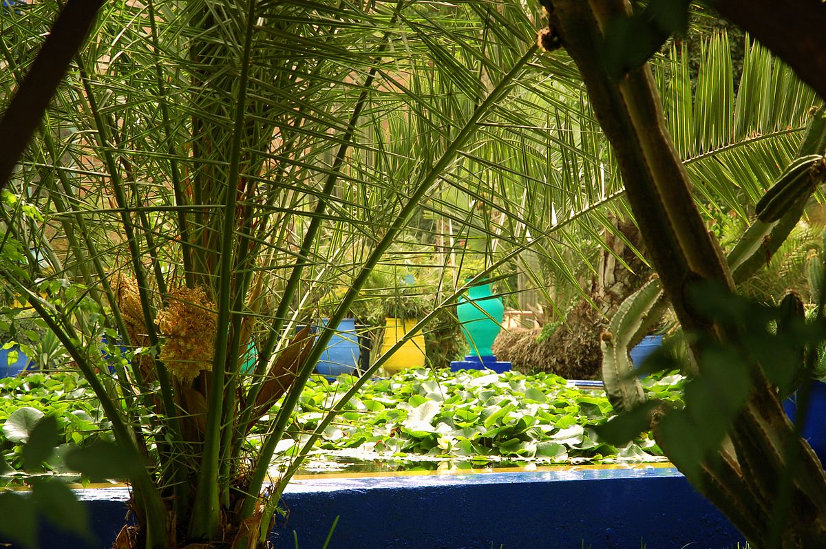 Maroc Marrakech Majorelle Luc Viatour 9.jpg