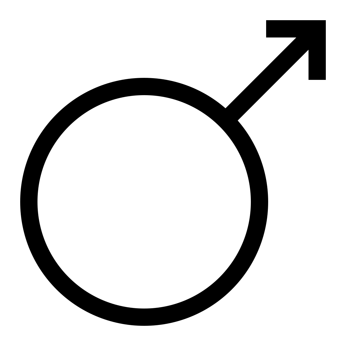 Lion mâle